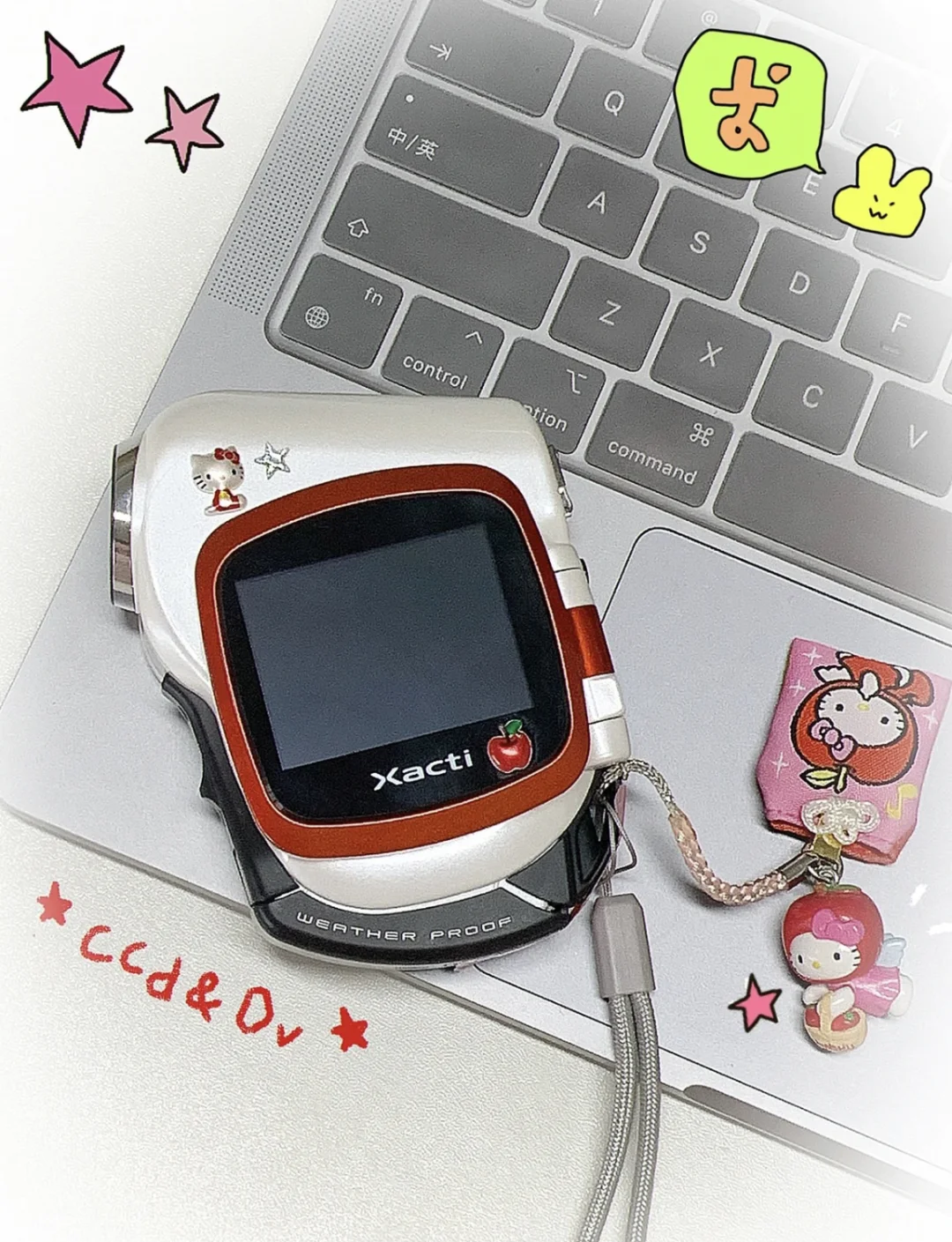 DV(dv是什么意思?)